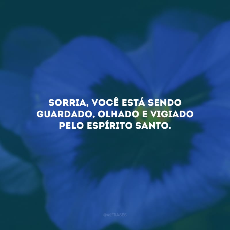 Sorria, você está sendo guardado, olhado e vigiado pelo Espírito Santo. 