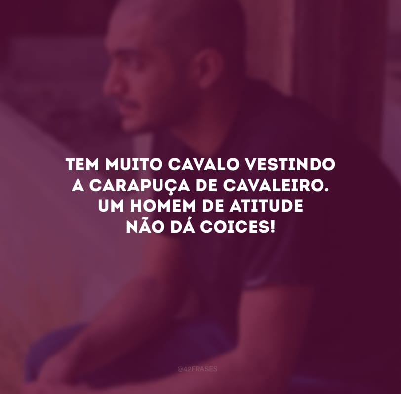 Tem muito cavalo vestindo a carapuça de cavaleiro. Um homem de atitude não dá coices!