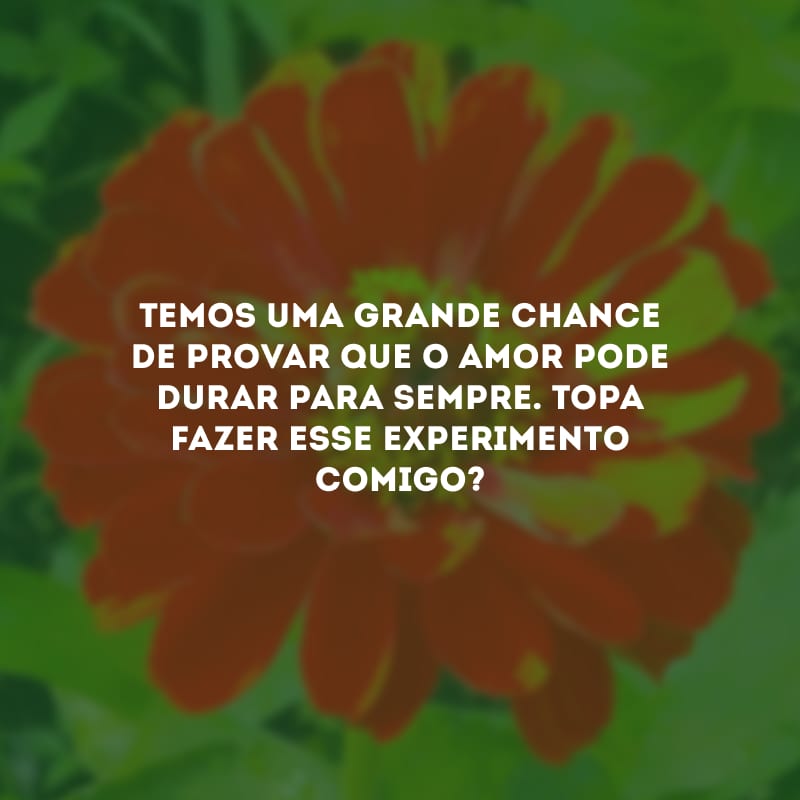 Temos uma grande chance de provar que o amor pode durar para sempre. Topa fazer esse experimento comigo?