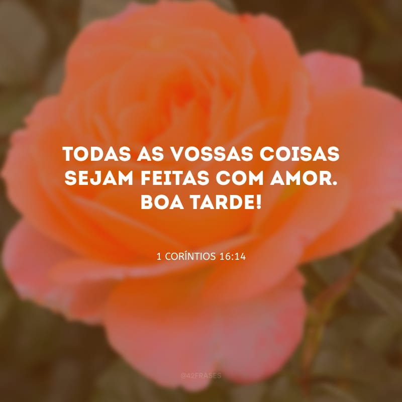 Todas as vossas coisas sejam feitas com amor. Boa tarde!
