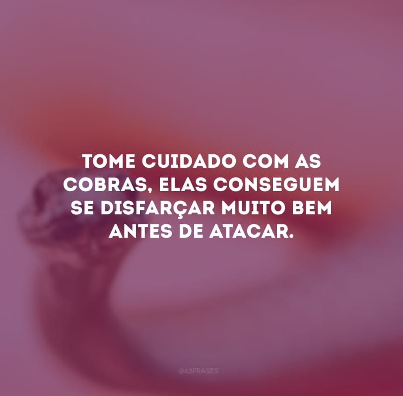 Tome cuidado com as cobras, elas conseguem se disfarçar muito bem antes de atacar.