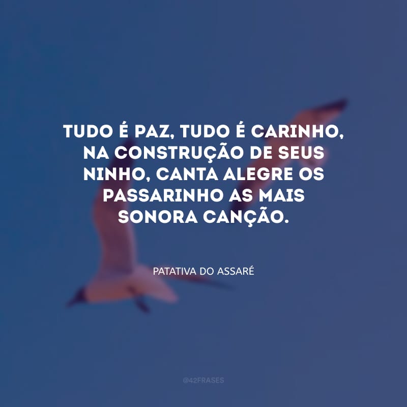 Tudo é paz, tudo é carinho, na construção de seus ninho, canta alegre os passarinho as mais sonora canção.