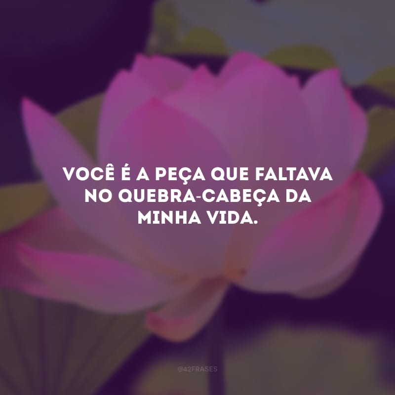 Você é a peça que faltava no quebra-cabeça da minha vida.