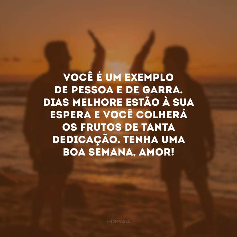 Você é um exemplo de pessoa e de garra. Dias melhore estão à sua espera e você colherá os frutos de tanta dedicação. Tenha uma boa semana, amor!