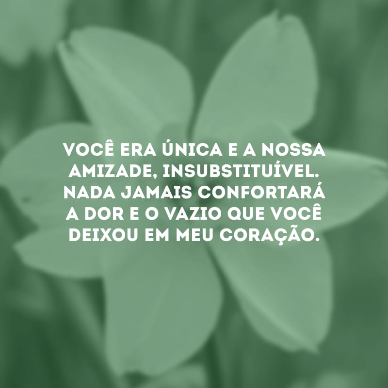 Você era única e a nossa amizade, insubstituível. Nada jamais confortará a dor e o vazio que você deixou em meu coração. 