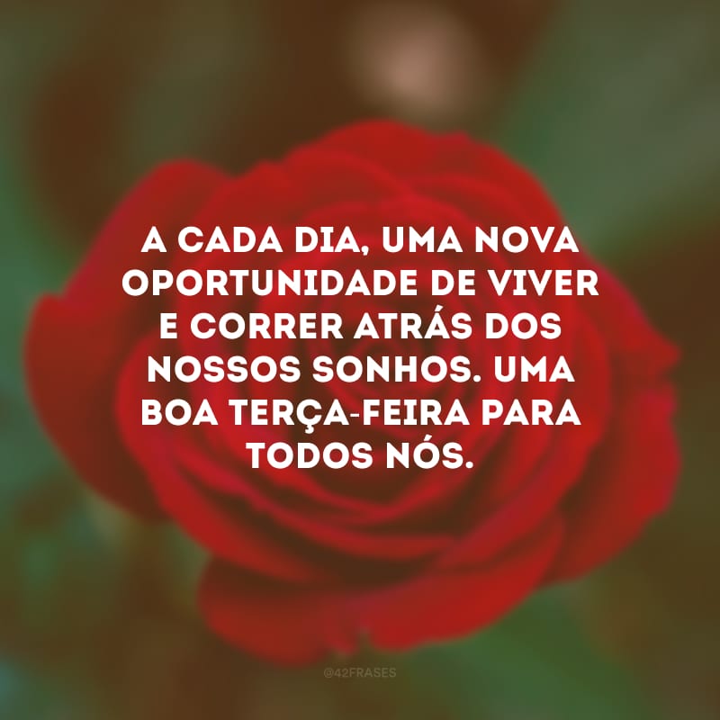 A cada dia, uma nova oportunidade de viver e correr atrás dos nossos sonhos. Uma boa terça-feira para todos nós.