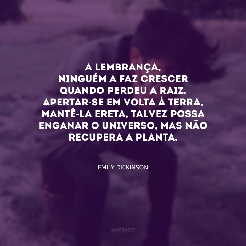 A lembrança, ninguém a faz crescer quando perdeu a raiz. Apertar-se em volta à terra, mantê-la ereta, talvez possa enganar o universo, mas não recupera a planta.