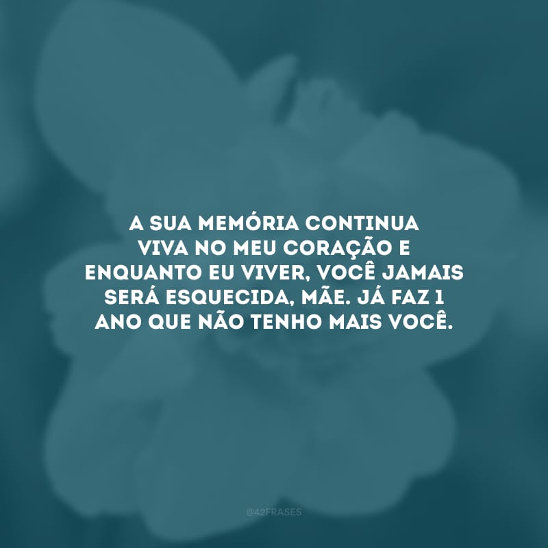 A sua memória continua viva no meu coração e enquanto eu viver, você jamais será esquecida, mãe. Já faz 1 ano que não tenho mais você.