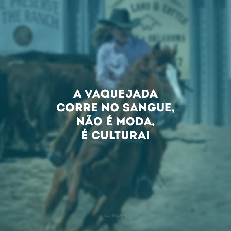 A vaquejada corre no sangue, não é moda, é cultura!