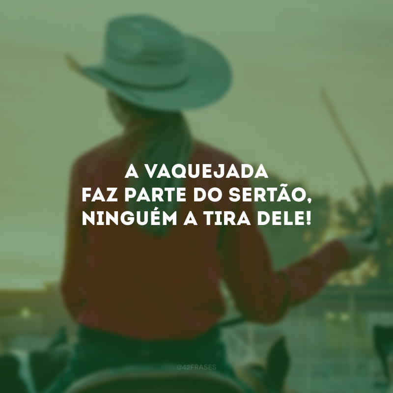 A vaquejada faz parte do sertão, ninguém a tira dele!