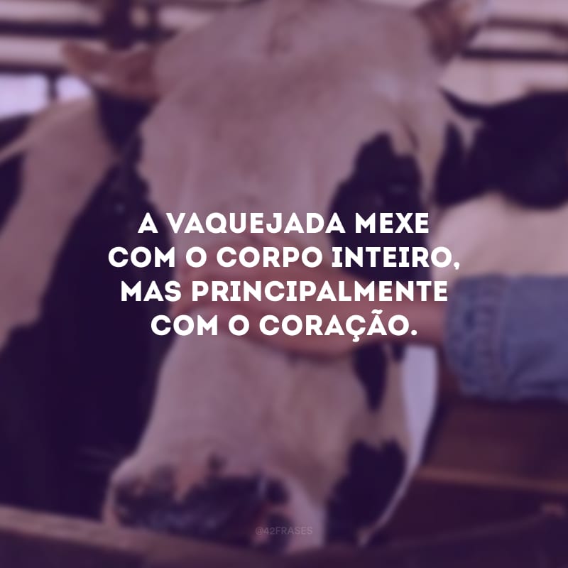 A vaquejada mexe com o corpo inteiro, mas principalmente com o coração.