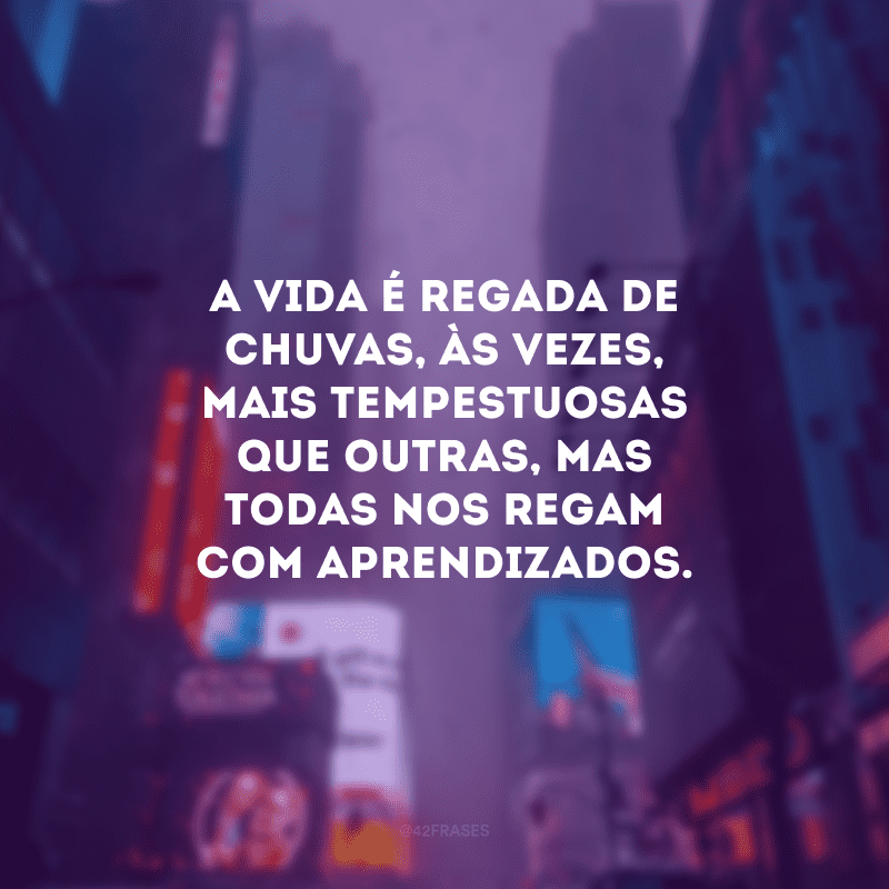 A vida é regada de chuvas, às vezes, mais tempestuosas que outras, mas todas nos regam com aprendizados.