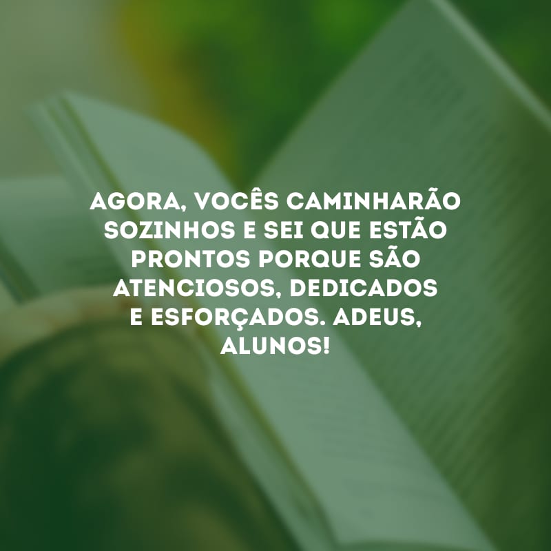 Agora, vocês caminharão sozinhos e sei que estão prontos porque são atenciosos, dedicados e esforçados. Adeus, alunos!