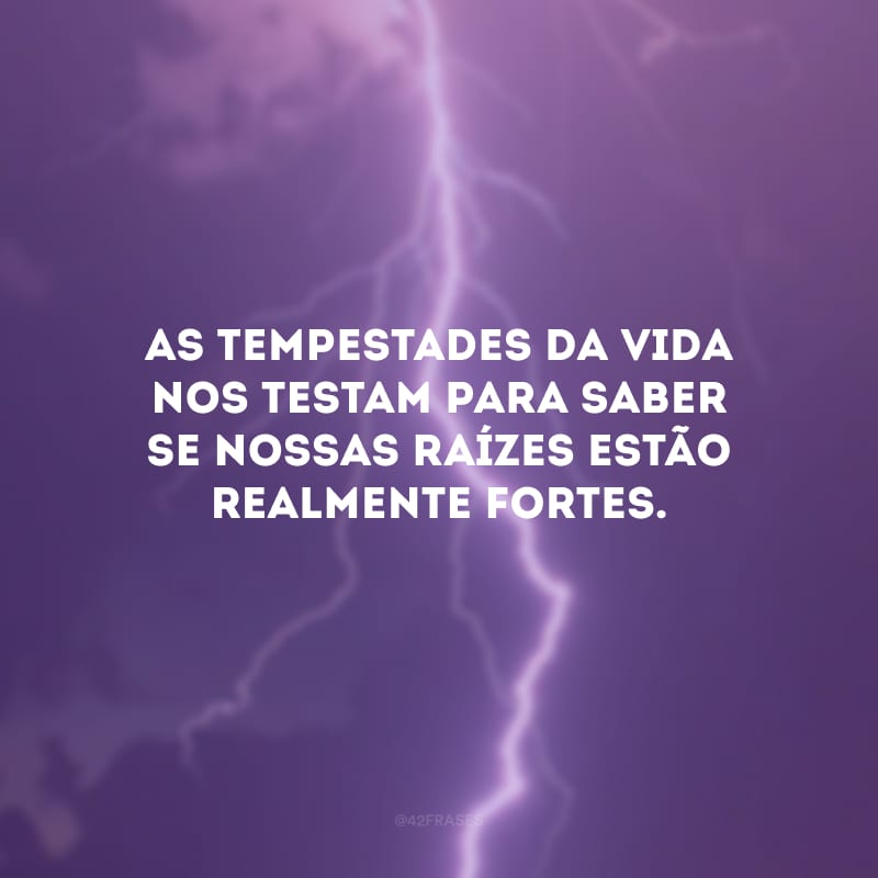 As tempestades da vida nos testam para saber se nossas raízes estão realmente fortes.