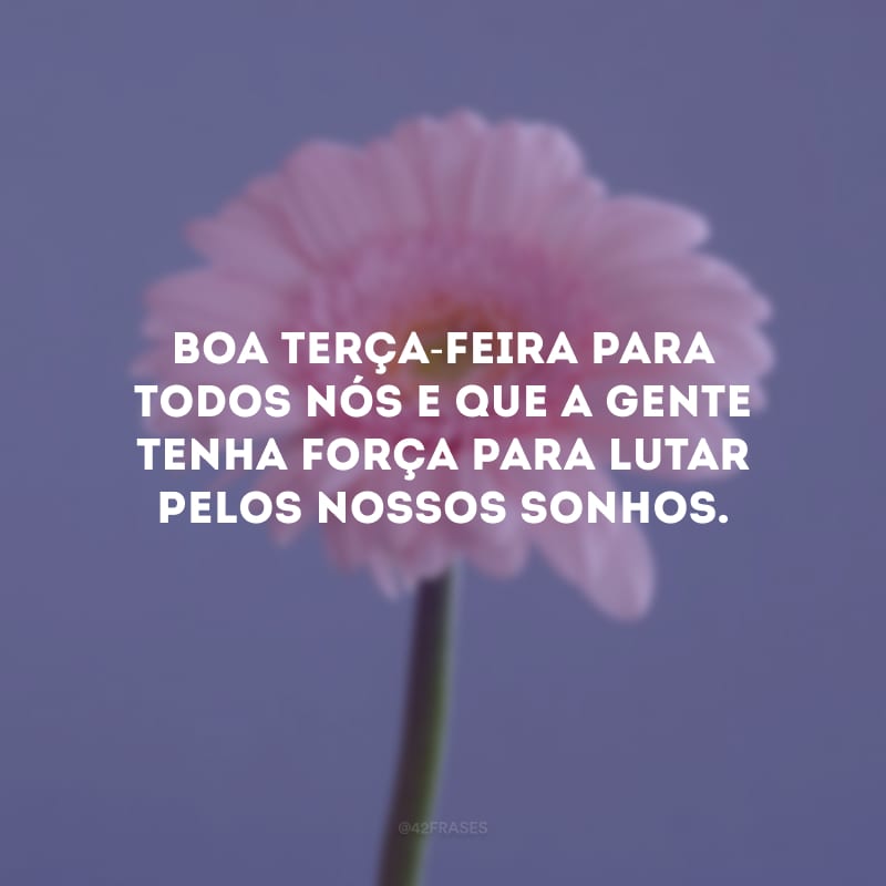 Boa terça-feira para todos nós e que a gente tenha força para lutar pelos nossos sonhos.