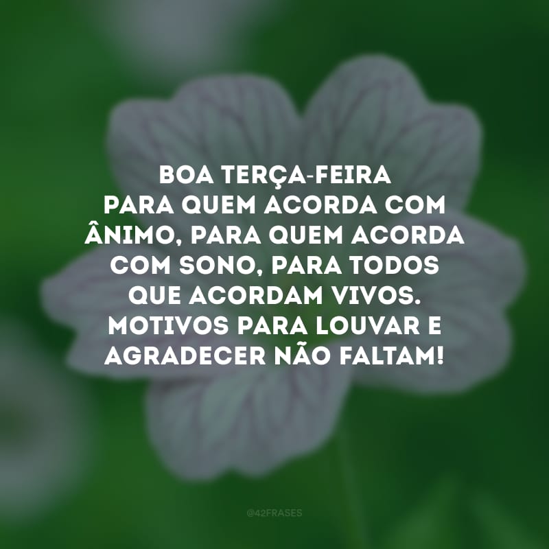 Boa terça-feira para quem acorda com ânimo, para quem acorda com sono, para todos que acordam vivos. Motivos para louvar e agradecer não faltam!