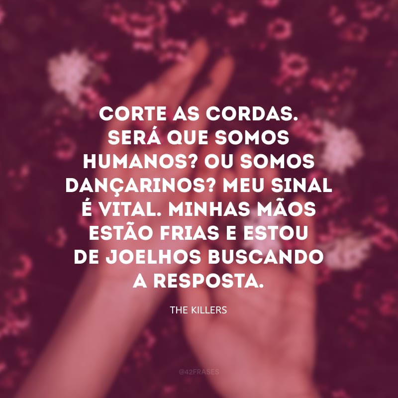 Corte as cordas. Será que somos humanos? Ou somos dançarinos? Meu sinal é vital. Minhas mãos estão frias e estou de joelhos buscando a resposta.