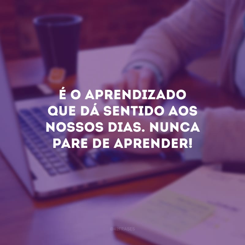 É o aprendizado que dá sentido aos nossos dias. Nunca pare de aprender!