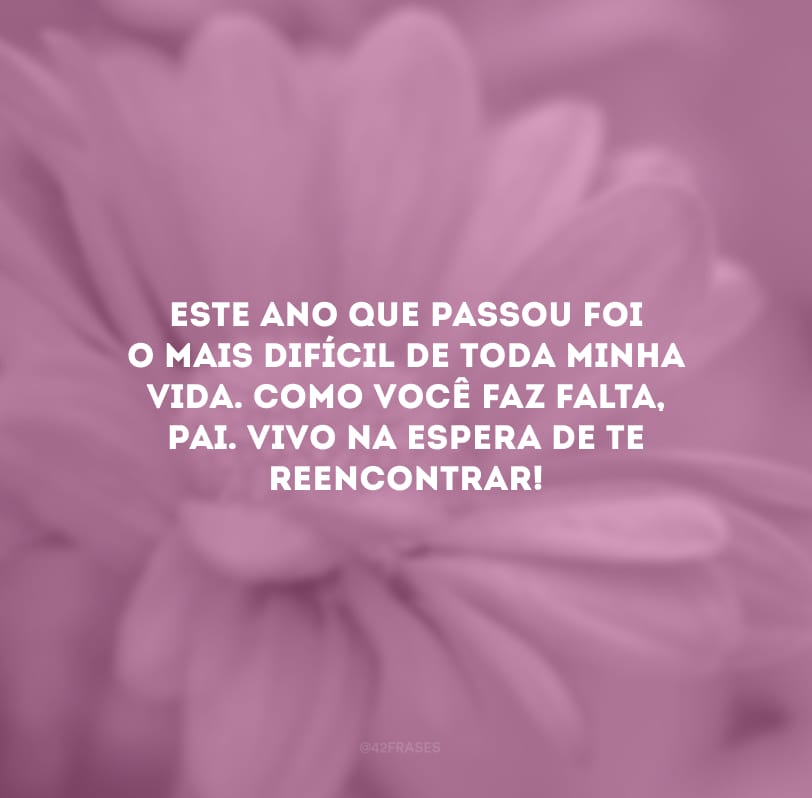 Este ano que passou foi o mais difícil de toda minha vida. Como você faz falta, pai. Vivo na espera de te reencontrar!