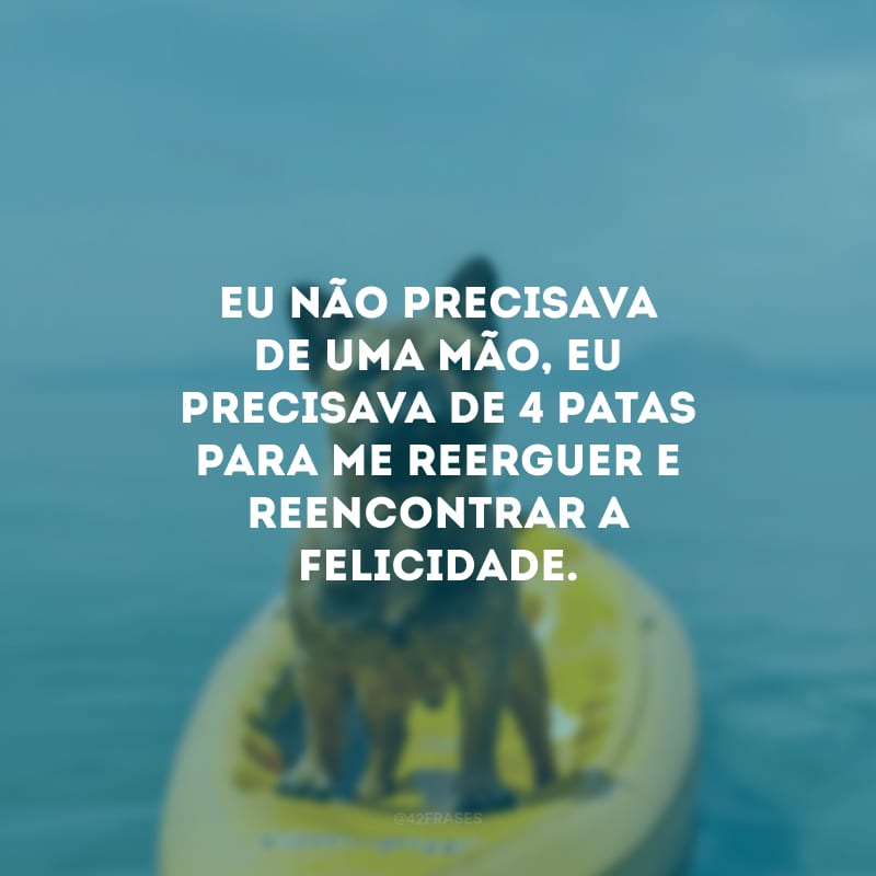 Eu não precisava de uma mão, eu precisava de 4 patas para me reerguer e reencontrar a felicidade.