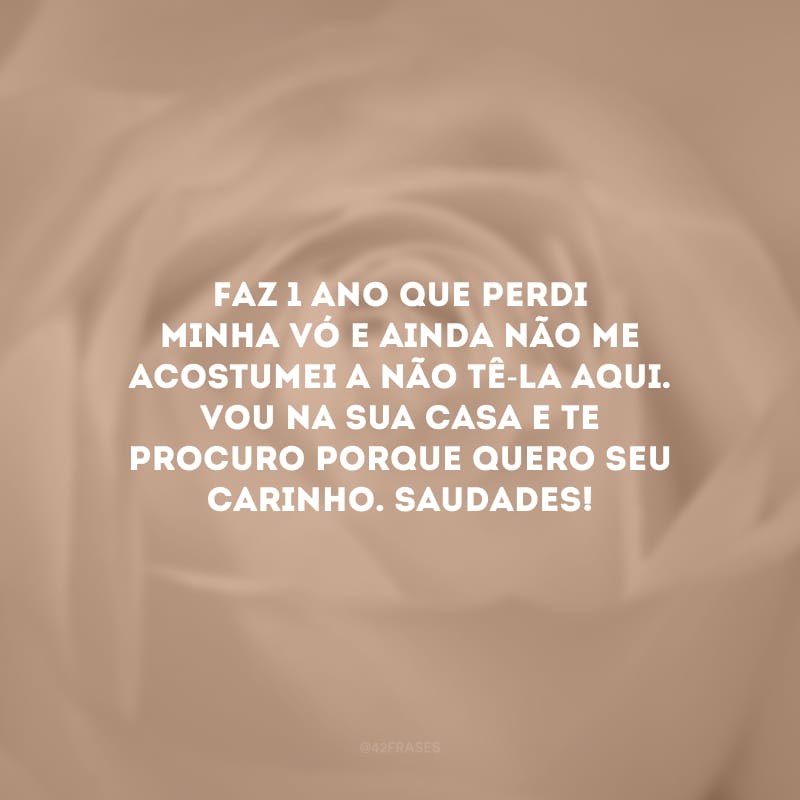 Faz 1 ano que perdi minha vó e ainda não me acostumei a não tê-la aqui. Vou na sua casa e te procuro porque quero seu carinho. Saudades!