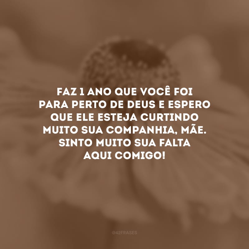 Faz 1 ano que você foi para perto de Deus e espero que Ele esteja curtindo muito sua companhia, mãe. Sinto muito sua falta aqui comigo!