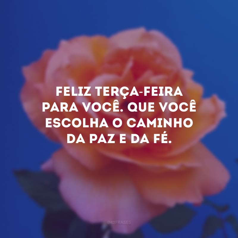 Feliz terça-feira para você. Que você escolha o caminho da paz e da fé.