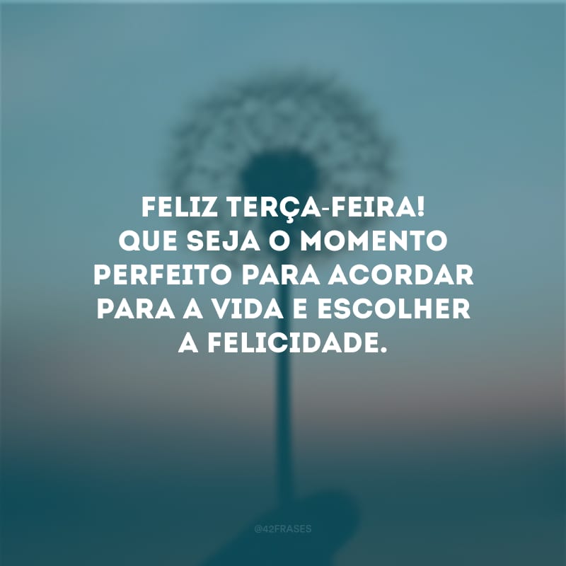 Feliz terça-feira! Que seja o momento perfeito para acordar para a vida e escolher a felicidade.