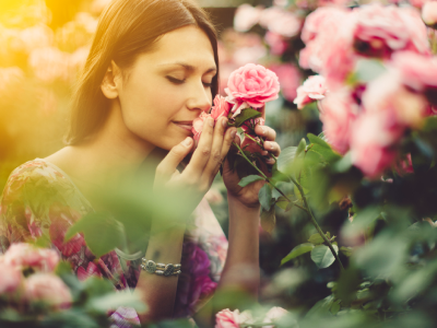 60 frases de bom dia com rosas que deixarão sua vida mais bonita