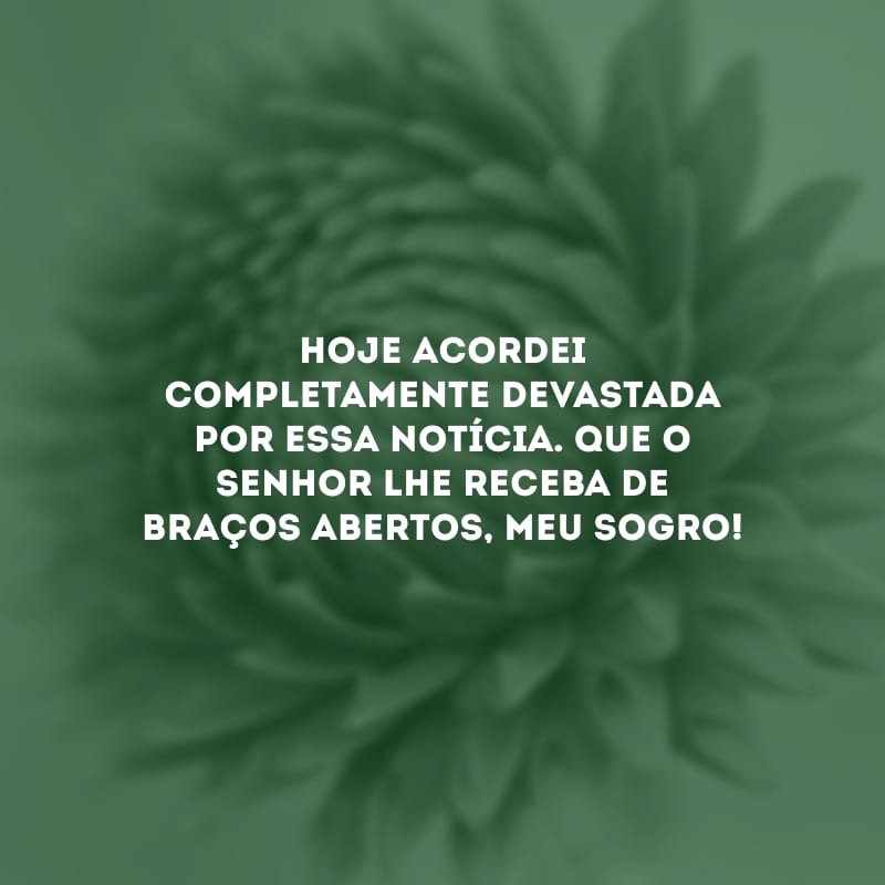 Hoje acordei completamente devastada por essa notícia. Que o Senhor lhe receba de braços abertos, meu sogro!