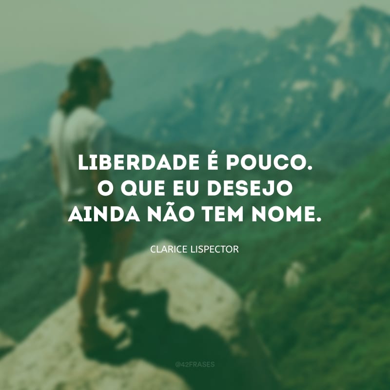 Liberdade é pouco. O que eu desejo ainda não tem nome.