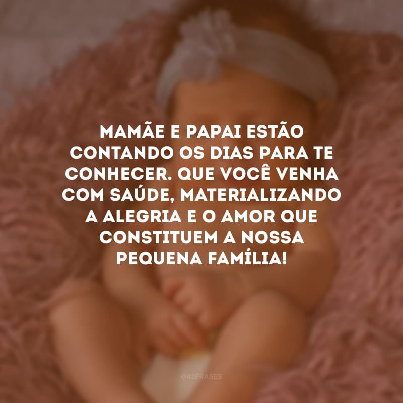 Mamãe e papai estão contando os dias para te conhecer. Que você venha com saúde, materializando a alegria e o amor que constituem a nossa pequena família! 