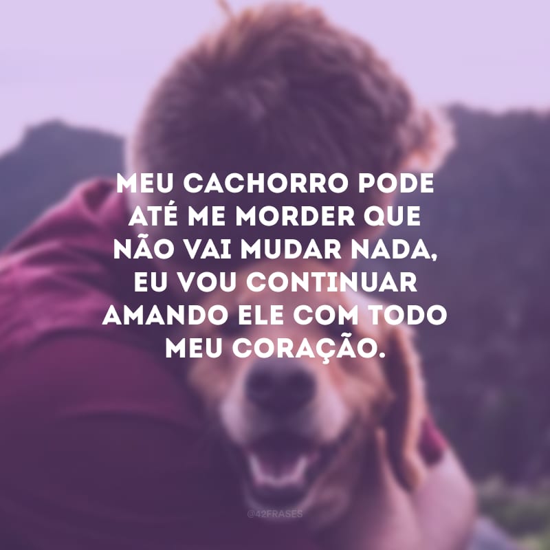 Meu cachorro pode até me morder que não vai mudar nada, eu vou continuar amando ele com todo meu coração.