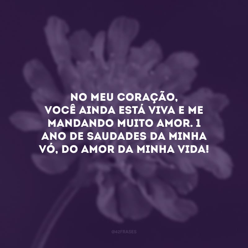 No meu coração, você ainda está viva e me mandando muito amor. 1 ano de saudades da minha vó, do amor da minha vida!