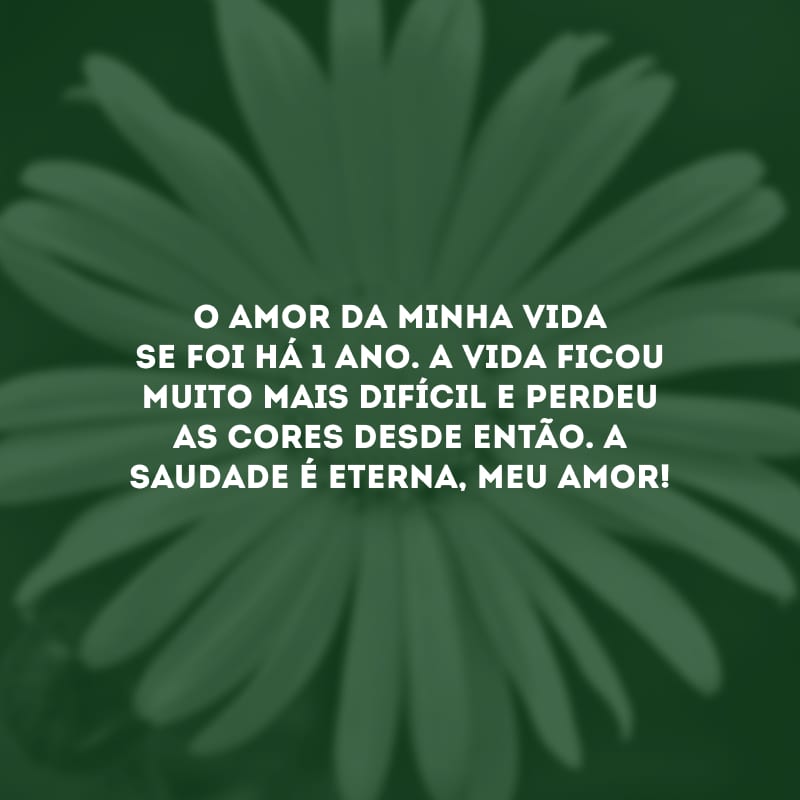 O amor da minha vida se foi há 1 ano. A vida ficou muito mais difícil e perdeu as cores desde então. A saudade é eterna, meu amor!