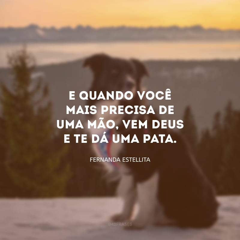 E quando você mais precisa de uma mão, vem Deus e te dá uma pata.