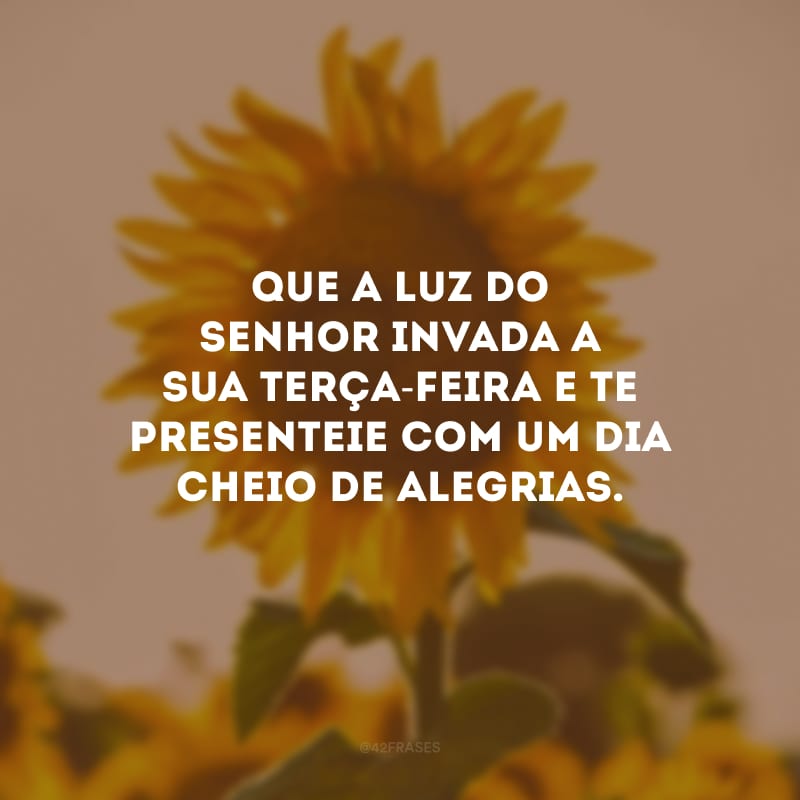 Que a luz do Senhor invada a sua terça-feira e te presenteie com um dia cheio de alegrias.