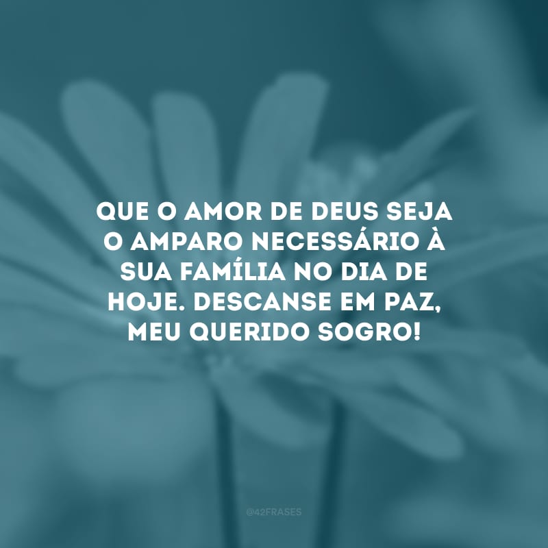 Que o amor de Deus seja o amparo necessário à sua família no dia de hoje. Descanse em paz, meu querido sogro!