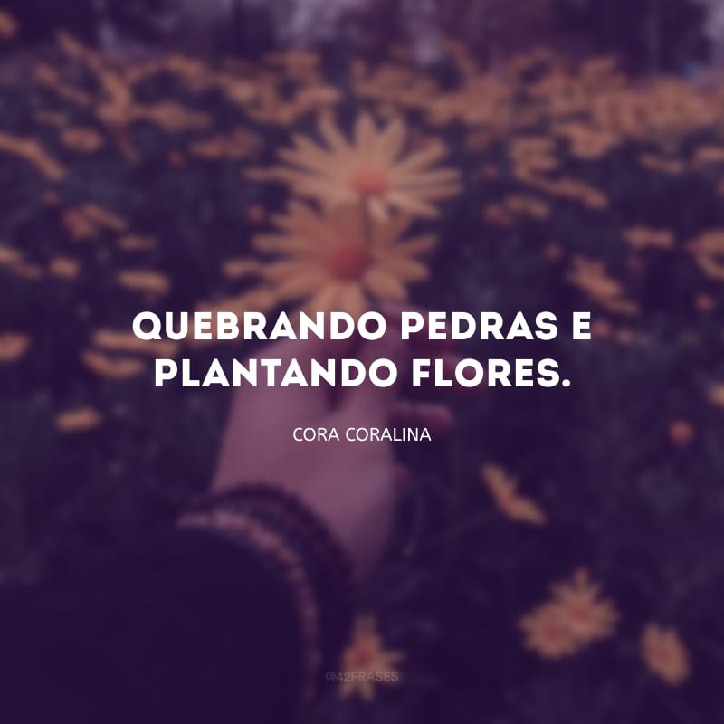 Quebrando pedras e plantando flores.