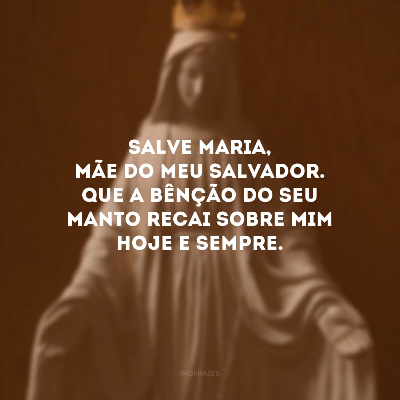 Salve Maria, mãe do meu Salvador. Que a bênção do Seu manto recai sobre mim hoje e sempre. 