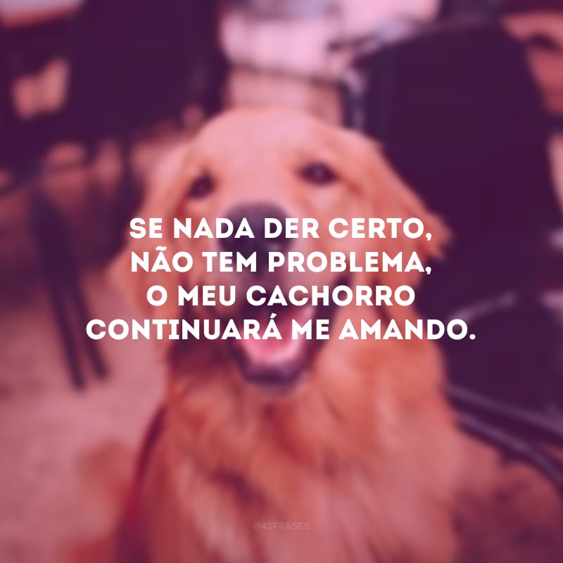 Se nada der certo, não tem problema, o meu cachorro continuará me amando.