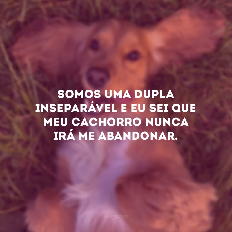 Somos uma dupla inseparável e eu sei que meu cachorro nunca irá me abandonar.