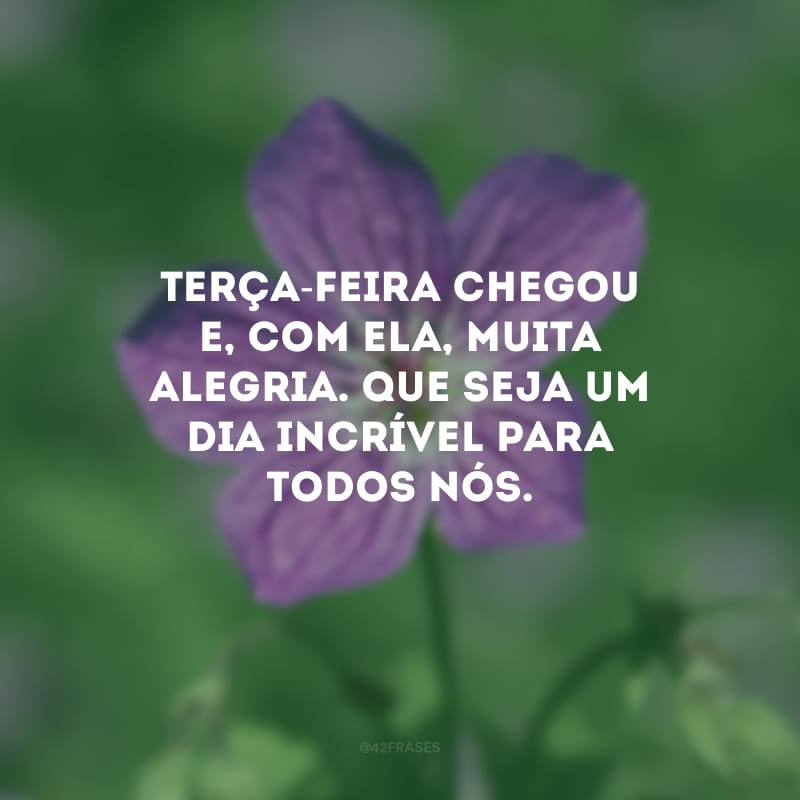 Terça-feira chegou e, com ela, muita alegria. Que seja um dia incrível para todos nós.