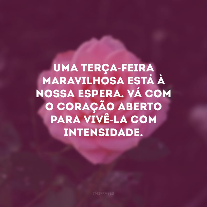 Uma terça-feira maravilhosa está à nossa espera. Vá com o coração aberto para vivê-la com intensidade.