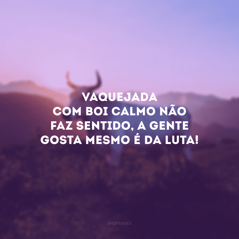 Vaquejada com boi calmo não faz sentido, a gente gosta mesmo é da luta!