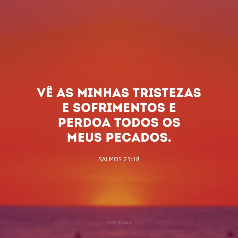 Vê as minhas tristezas e sofrimentos e perdoa todos os meus pecados.