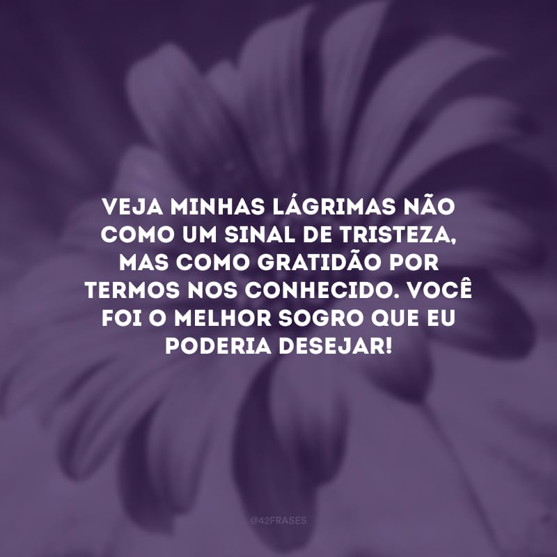 Veja minhas lágrimas não como um sinal de tristeza, mas como gratidão por termos nos conhecido. Você foi o melhor sogro que eu poderia desejar!