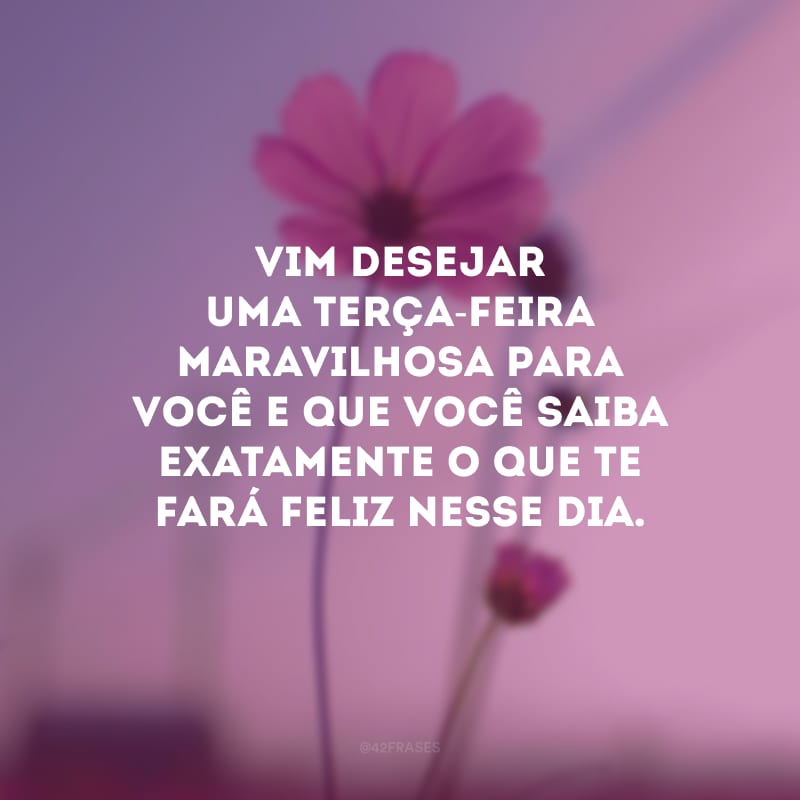 Vim desejar uma terça-feira maravilhosa para você e que você saiba exatamente o que te fará feliz nesse dia.