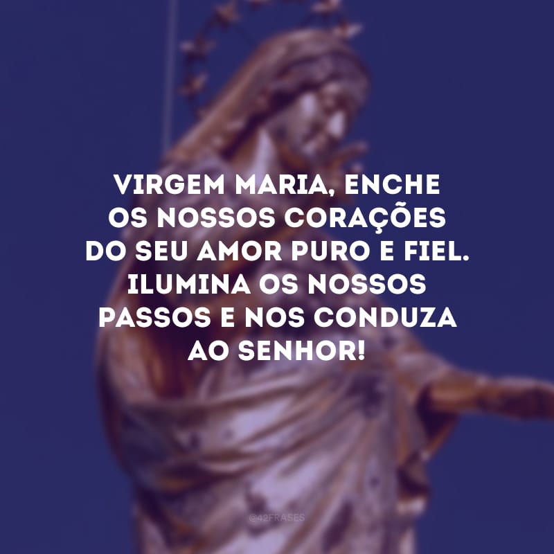 Virgem Maria, enche os nossos corações do seu amor puro e fiel. Ilumina os nossos passos e nos conduza ao Senhor! 