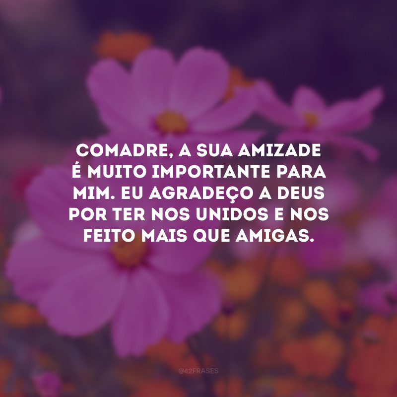 Comadre, a sua amizade é muito importante para mim. Eu agradeço a Deus por ter nos unidos e nos feito mais que amigas.